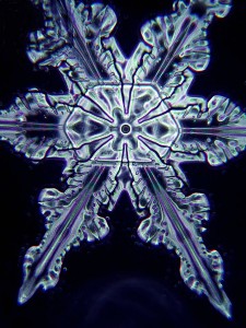 Snowflake_crystal